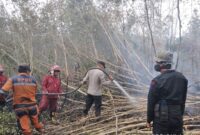 Hutan dan lahan di wilayah Kabupaten Ogan Komering Ilir (OKI), Sumatera Selatan Terbakar. (Dok. BNPB) 