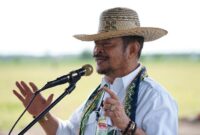 Mantan Menteri Pertanian Syahrul Yasin Limpo. (Facbook.com/@Syahrul Yasin Limpo)