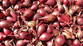 141 Daerah Alami Kenaikan Harga Bawang Merah. (Pixabay.com/Hans)