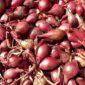 141 Daerah Alami Kenaikan Harga Bawang Merah. (Pixabay.com/Hans)