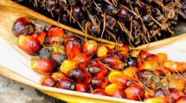 Penyidikan Kasus Dugaan Suap Fasilitas Ekspor CPO. (Pixabay.com/tristantan)