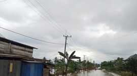 Banjir yang merendam Kecamatan Lambandia, Kabupaten Kolaka Timur, Provinsi Sulawesi Tenggara. (Dok. BPBD Kabupaten Kolaka Timur)