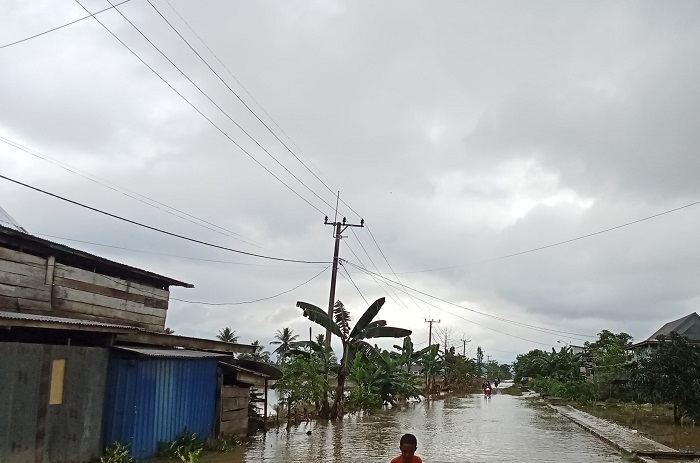 Banjir yang merendam Kecamatan Lambandia, Kabupaten Kolaka Timur, Provinsi Sulawesi Tenggara. (Dok. BPBD Kabupaten Kolaka Timur)